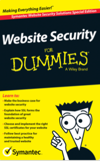 Website Security for Dummies
