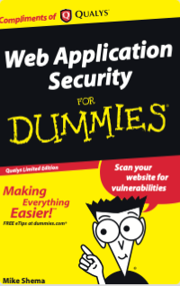 Web Application Security for Dummies